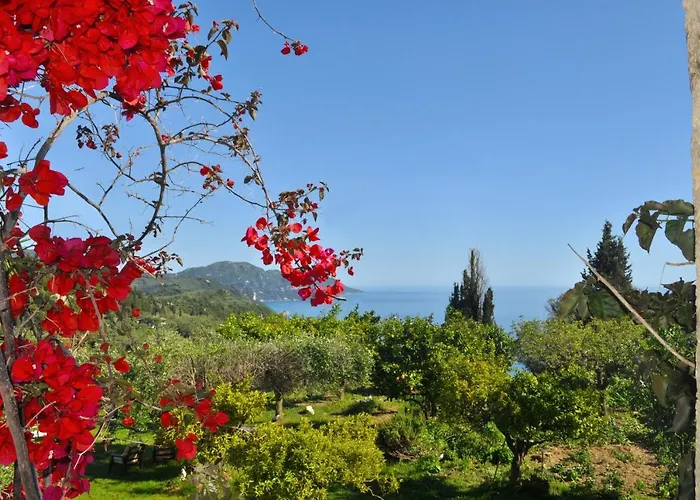 Apartment House Lemoni, B - Pelekas, Corfu