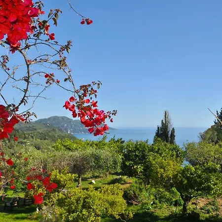 公寓 House Lemoni, B - Pelekas, Corfu