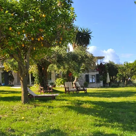 公寓 House Lemoni, B - Pelekas, Corfu
